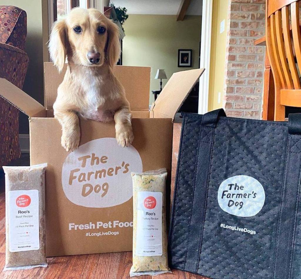 dog sitting in brown the farmers dog box on floor with frozen food