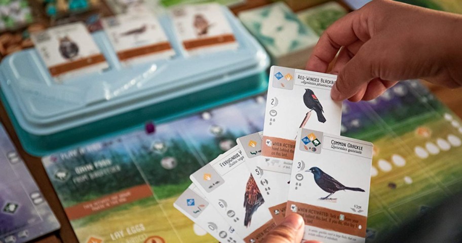 hand holding cards from wingspan board game for teens