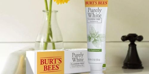 FREE Burt’s Bees Toothpaste After Cash Back at Walgreens & Target