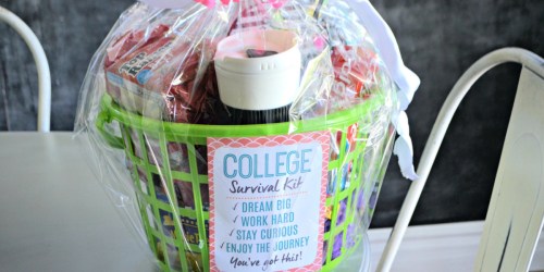 Make a College Survival Kit with Affordable Essentials from Dollar Tree (Easy Gift Idea!)