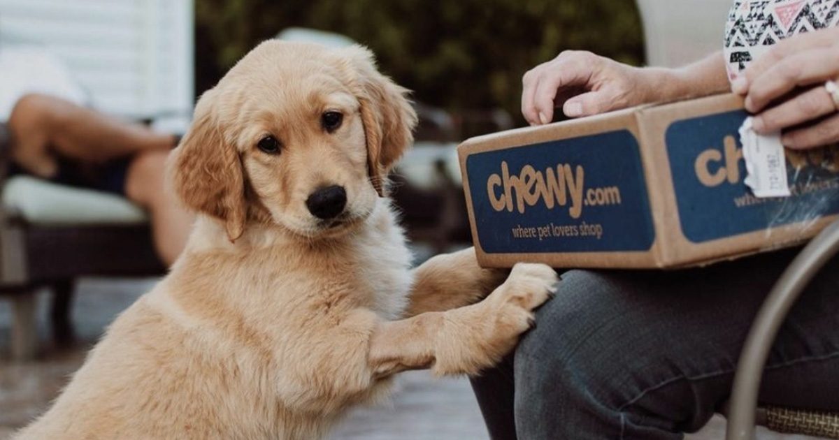 *HOT* Stackable Chewy Promo Codes | $52 Worth of Dog Food & Toys Under $16 Shipped