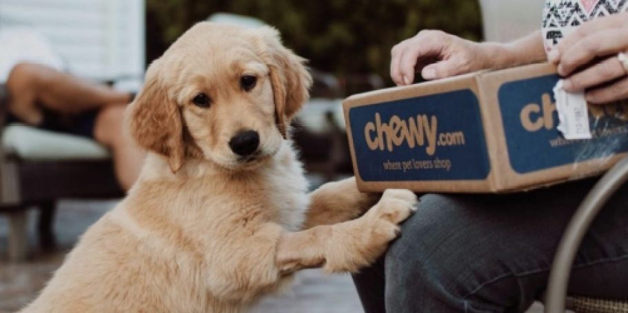 New Chewy Promo Code: BOGO Treats + $50 in FREE eGift Cards!