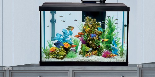 10-Gallon Aquarium Starter Kit Only $29.99 on Petsmart.online (Regularly $80)