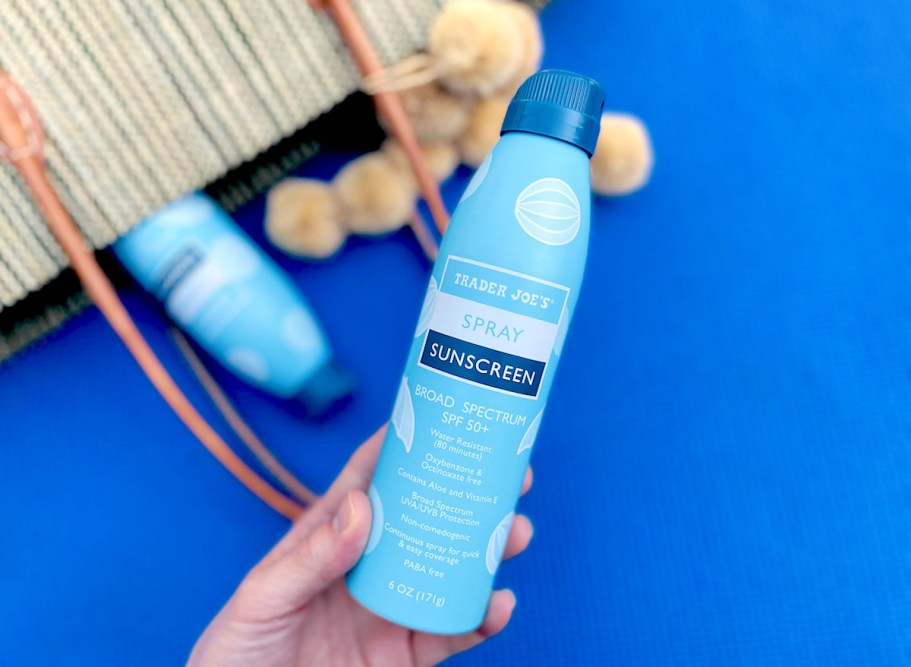 10+ Best Sunscreen Brands Our Team & Readers Reonlinemend