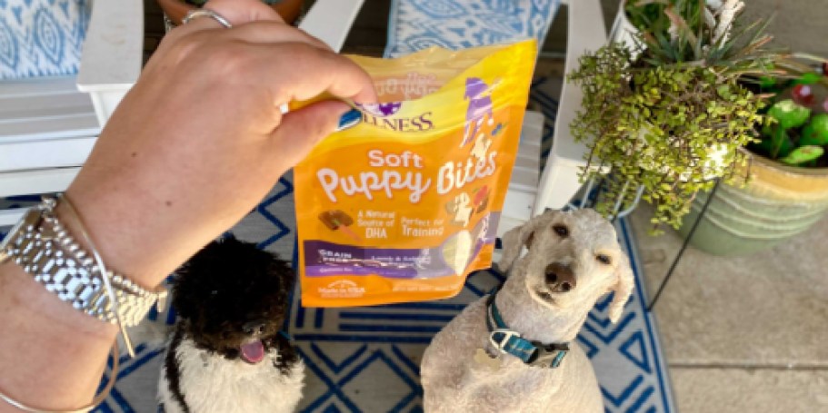 Wellness Dog Treats Only $1.90 Shipped on Amazon (Reg. $5)