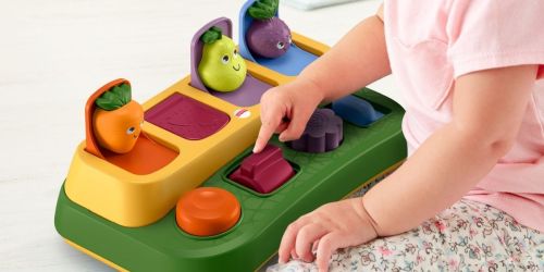 Fisher-Price Garden Pop-Up Toy w/ Sounds Only $6.74 on Walmart.online