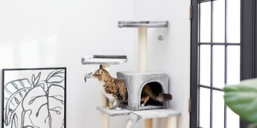 Frisco 68″ Cat Tree & Condo Only $41.99 Shipped on Chewy.online (Regularly $70)