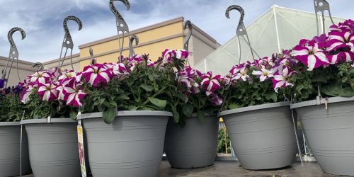 2 Hanging Flower 1.5-Gallon Baskets Only $15 at Lowe’s (Just $7.50 Each) | In-Store Only