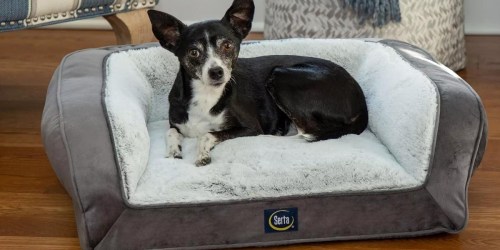 Serta Memory Foam Pet Bed Just $14.98 on SamsClub.online