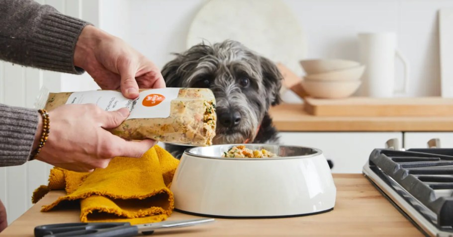 80% Off The Farmer’s Dog Fresh Dog Food Box + Free Delivery | New Customers Only (Limited Quantities)