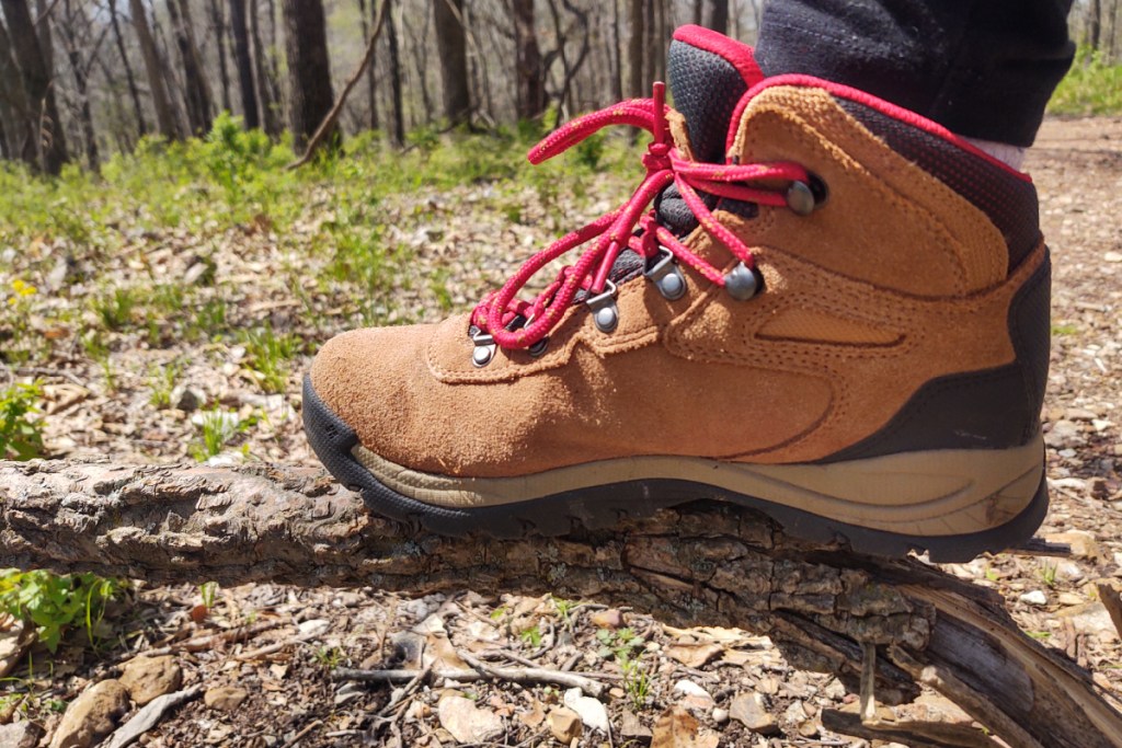 hiking boot on a tree root