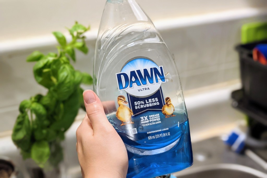 hand holding dawn dish soap in front of plant by sink