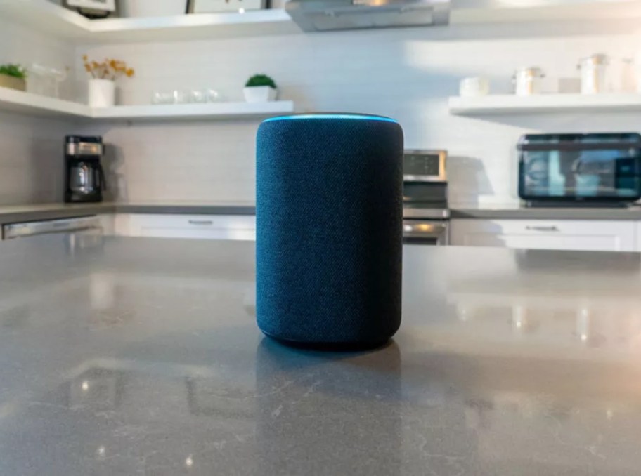 Amazon Echo speaker in kitchen