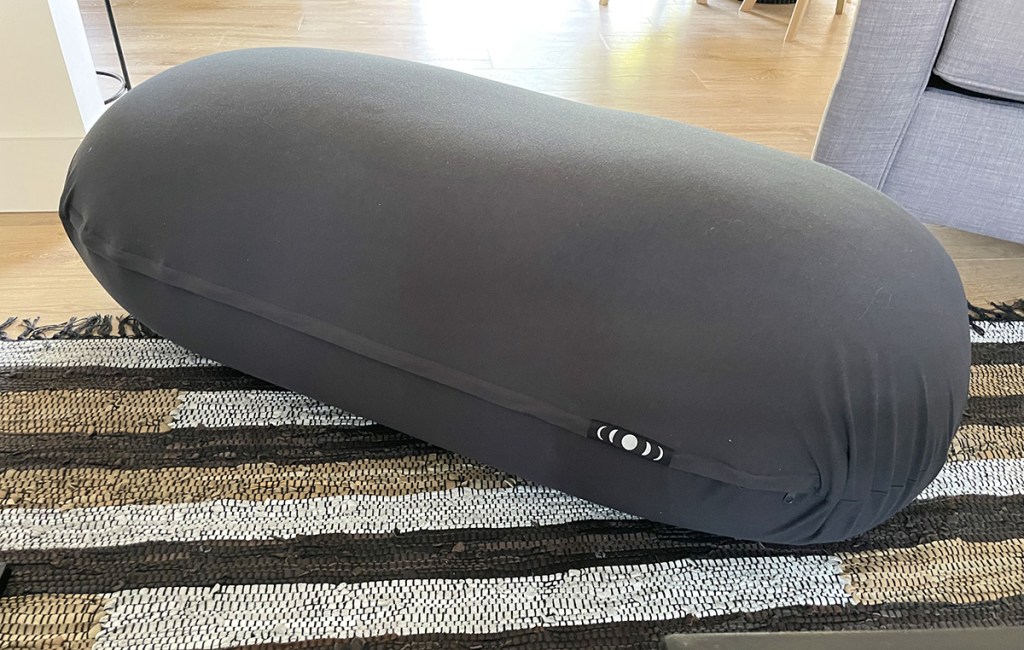 moon pod bean bag lounge chair