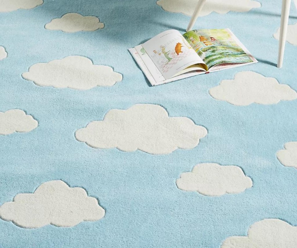 3'6 x 5'6 Clouds Rug