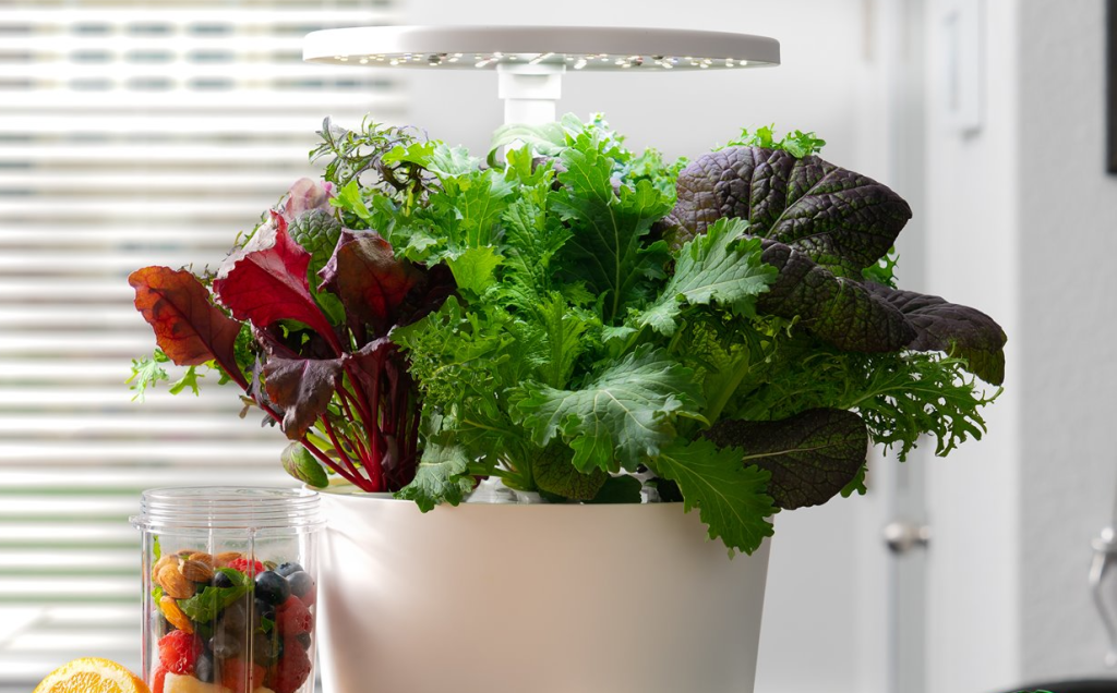 AeroGarden with plants in it