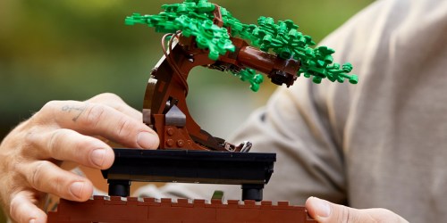 LEGO Bonsai Tree Building Kit Just $40 Shipped on Amazon or Walmart.online (Back in Stock)