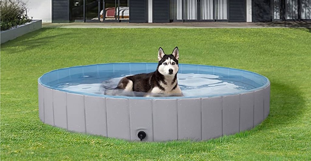 husky laying in grey pool in backyard