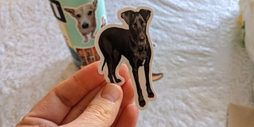 10 Sticker Mule Custom Vinyl Stickers ONLY $1 Shipped (Regularly $20)