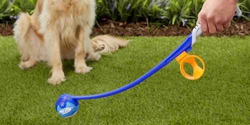 $89 Worth of Nerf Dog Toys Just $23 + FREE Pickup at Petco