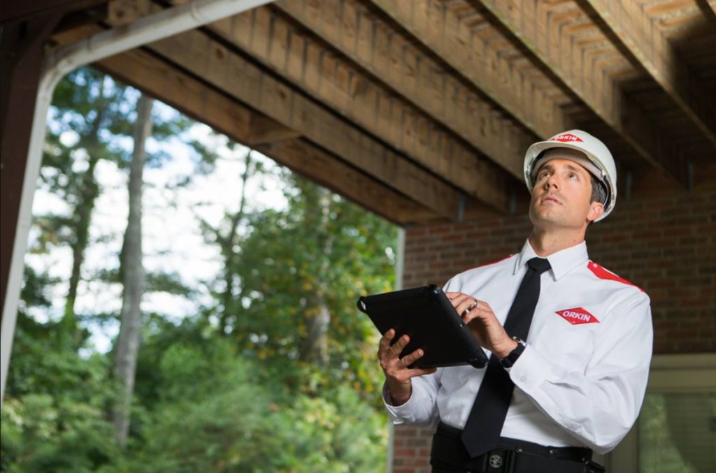 Orkin exterminator inspecting home