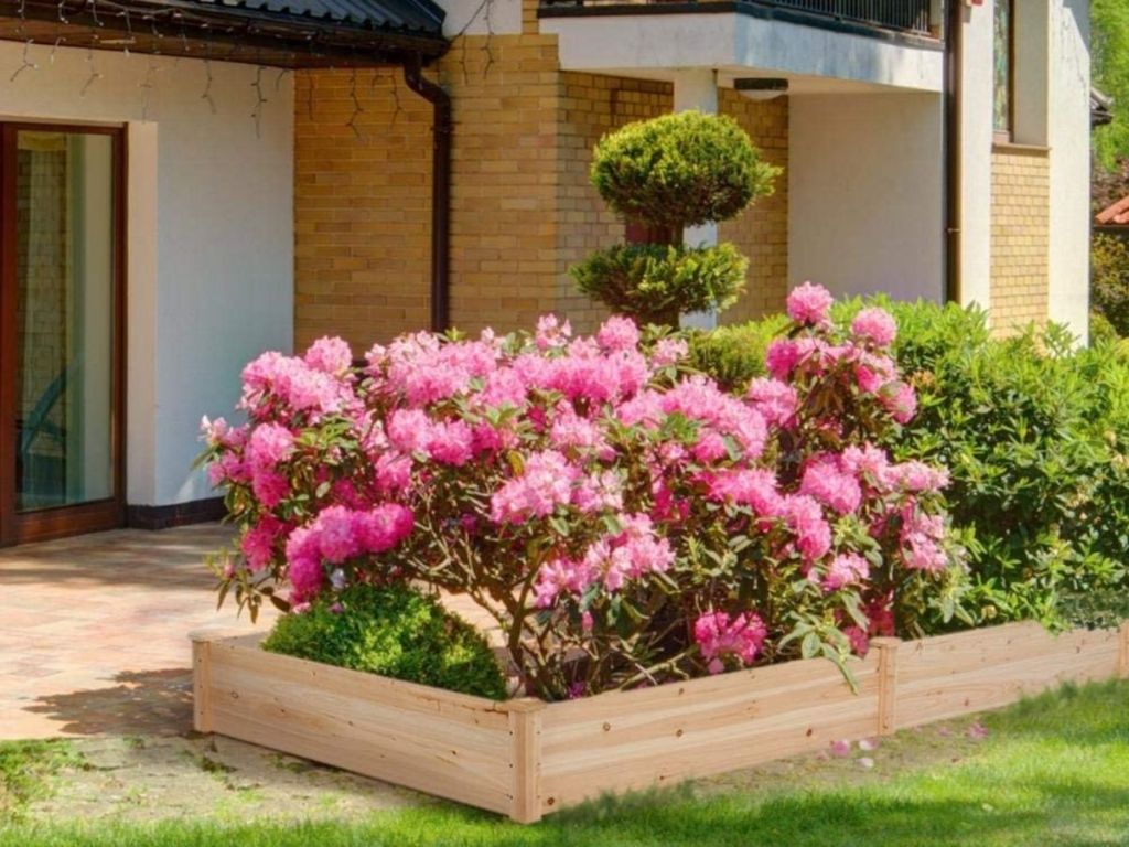 garden bed filled with flowers in yard