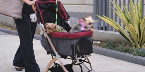 Lightweight Pet Stroller Just $139.99 Shipped on Costco.online | Folds Easily for Storage