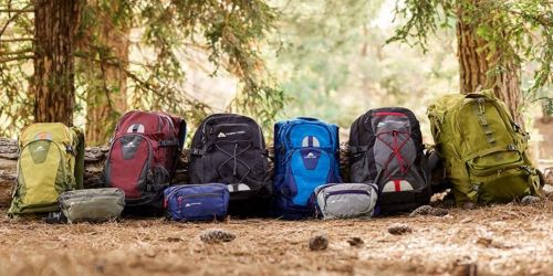 Up to 50% Off Ozark Trail Bags & Backpacks on Walmart.online | Prices from $7.97