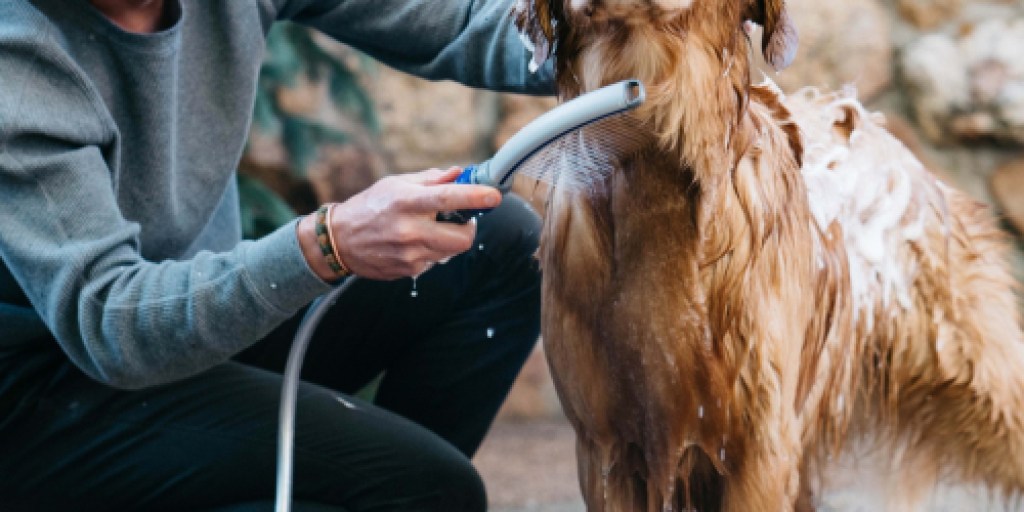Waterpik Dog Shower Attachment Only $18.29 on Chewy.online (Regularly $50) | Use Indoors & Outdoors