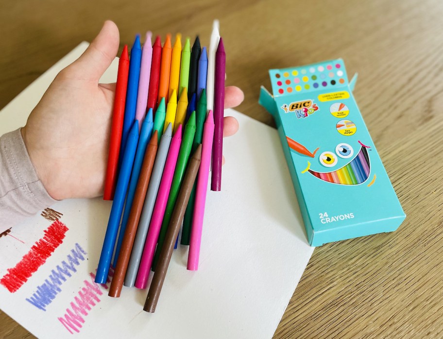 hand holding a pile of colorful wax sticks with bic box