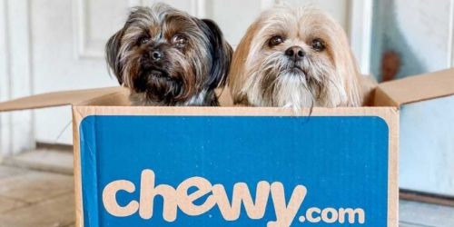 50% Off Huge Bags of Dog Food + Free Shipping on Chewy.online (Save on Blue Buffalo, Iams & More)