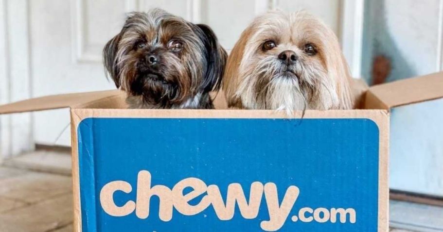 Up to 60% Off Chewy Cyber Monday Sale | Save on Pet Treats, Toys, Food, & More!