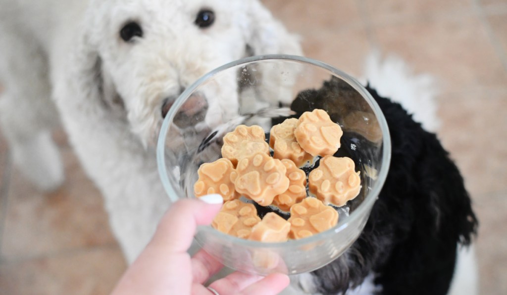 frozen dog treats using banana and pumpkin