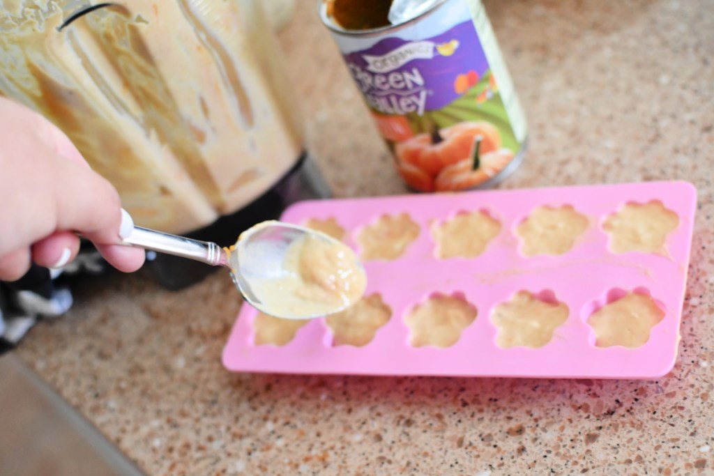 frozen pumpkin dog treats