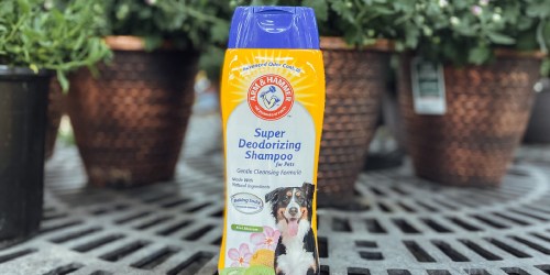 Arm & Hammer Deodorizing Dog Shampoo Only $2.22 Shipped on Amazon