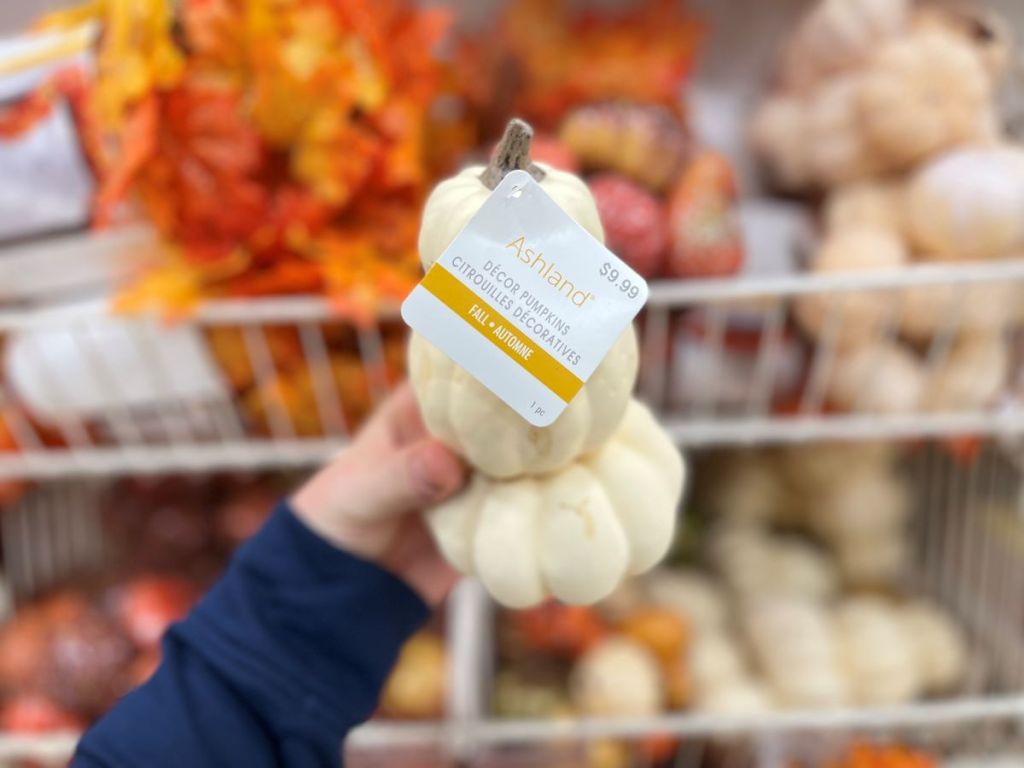 hand holding a stack of pumpkins