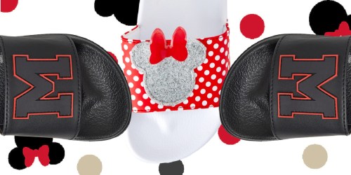 Disney Kids Slides Only $8.99 on Walmart.online (Regularly $17)