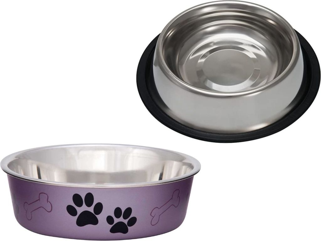 stock images of two loving pets dog bowls 