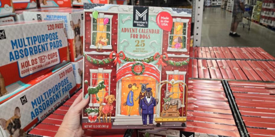 Sam’s Club Has a Dog Advent Calendar for Just $14.98 – Includes 25 Days of Jerky Treats!