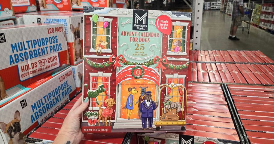 Member's Mark Jerky Treat Advent Calendar for Dogs in hand in store