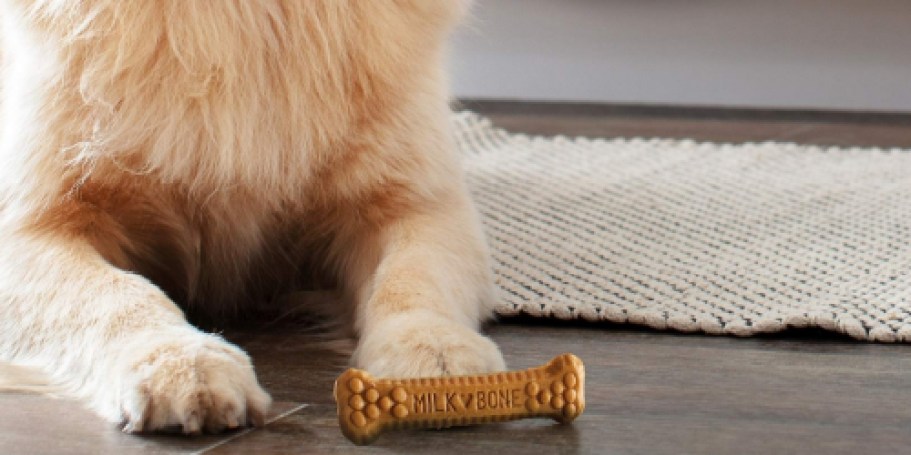 GO! Stack Offers for Cheap Dental Treats on Chewy.online