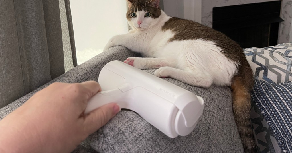 pet hair roller next to cat