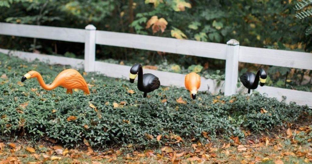 black and orange yard flamingos