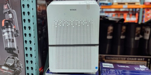 Winix Wi-Fi Air Purifier Just $103.98 Shipped on Costco.online (Regularly $130) | Includes 2-Year Supply of Filters