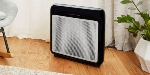 Air Purifier w/ True HEPA Filter Only $128 Shipped on Walmart.online (Regularly $229)