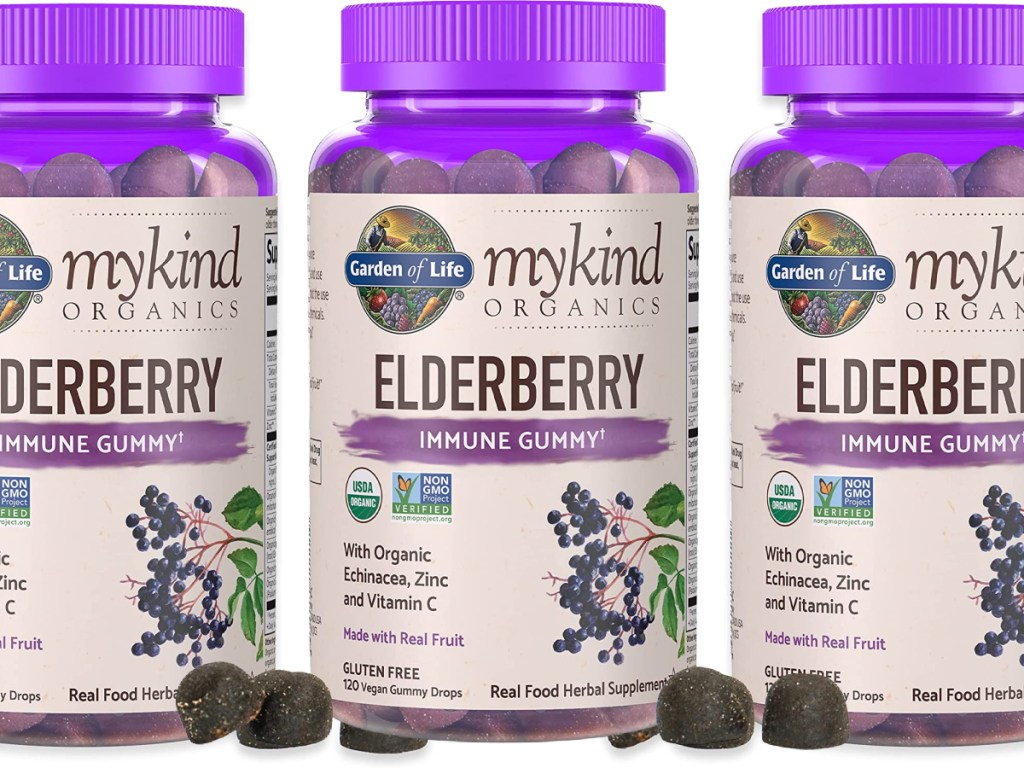 Garden of Life My Kind Organics Elderberry