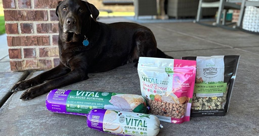 black dog laying in front of FreshPet foods