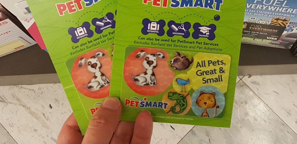 hand holding two Petsmart Gift Cards