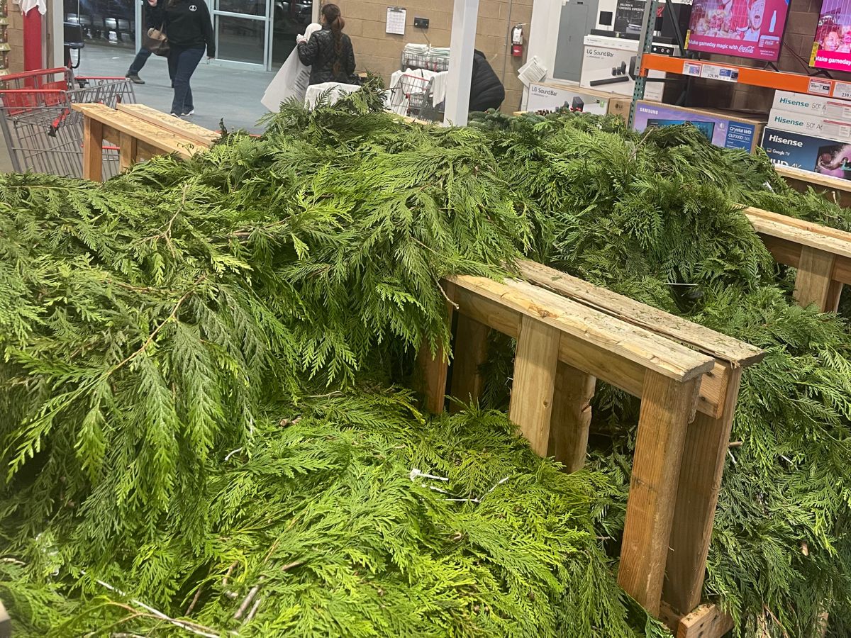 fresh cedar garland at costco