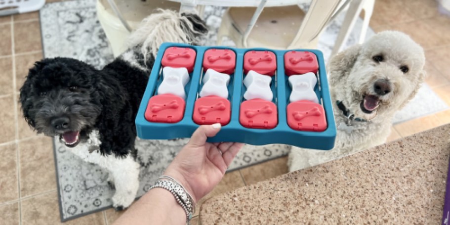 Outward Hound Dog Puzzle Toy Just $6 on Amazon – Over 33,000 5-Star Ratings!